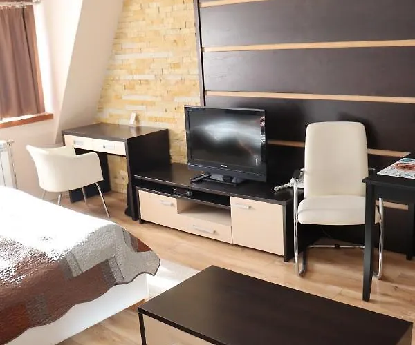 Snesko Zoned 科帕奥尼克