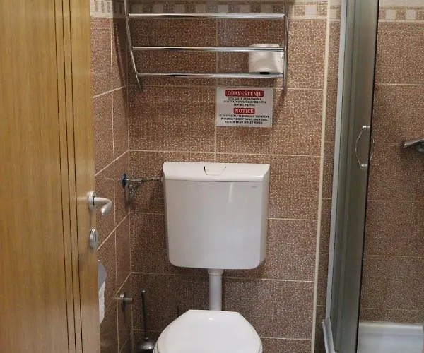 Snesko Zoned 科帕奥尼克