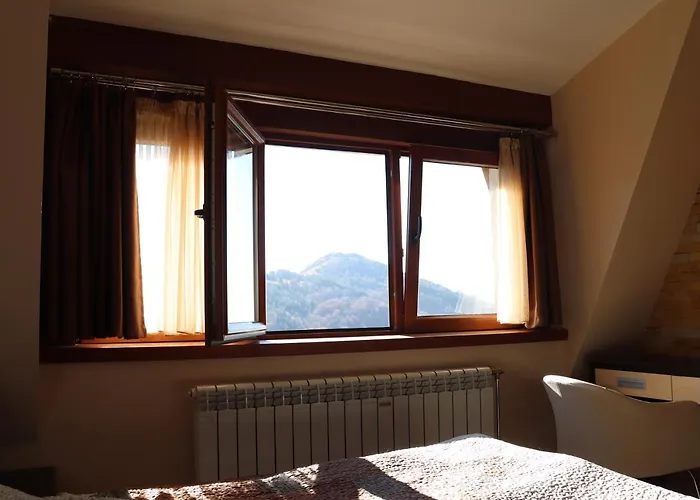 Snesko Zoned 科帕奥尼克