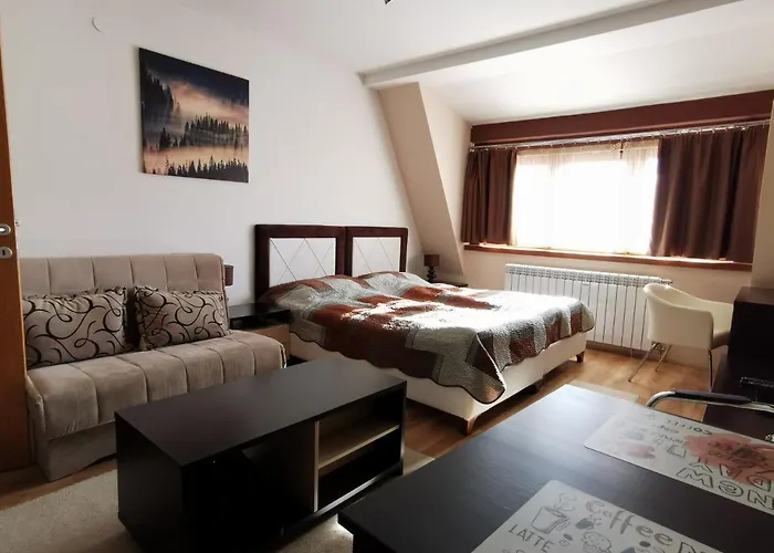 公寓 Snesko Zoned 科帕奥尼克