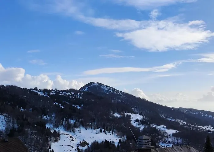 Snesko Zoned * 科帕奥尼克