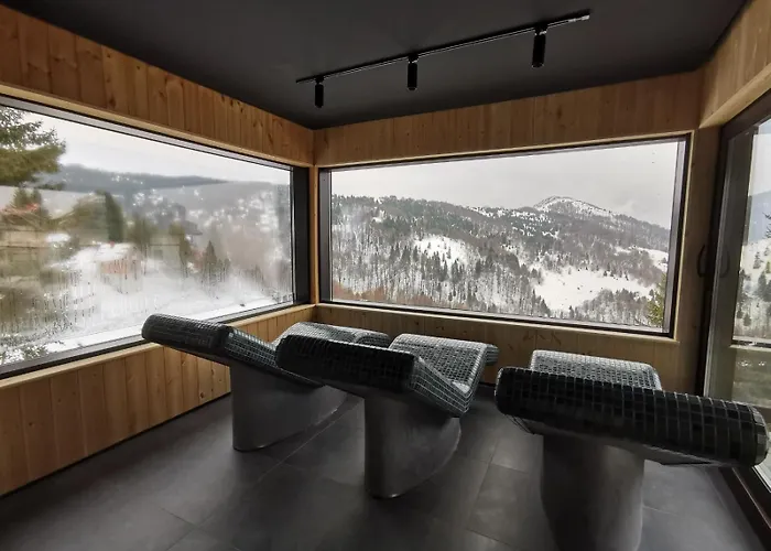 Snesko Zoned 科帕奥尼克