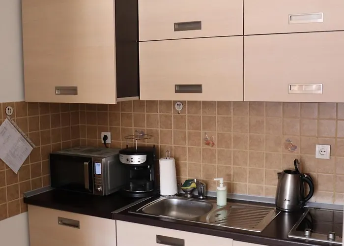 公寓 Snesko Zoned 科帕奥尼克